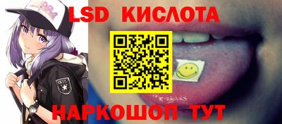 прущие грибы Тверь