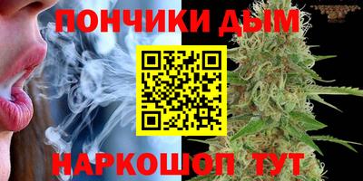 прущие грибы Тверь