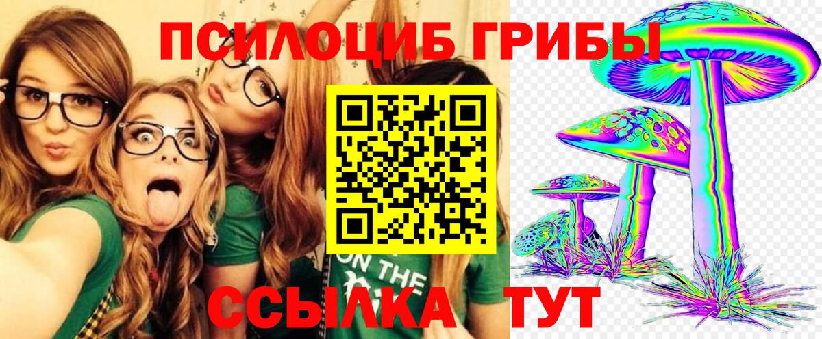 Артёмовский  Галлюциногенные грибы мицелий  Вход с VPN 