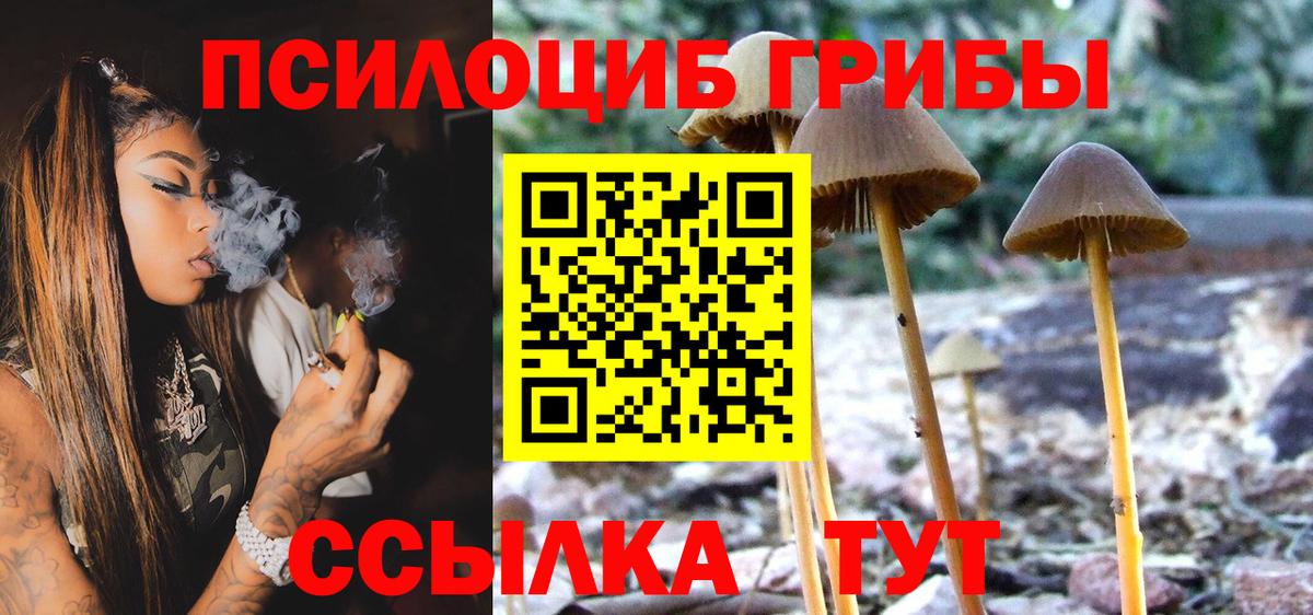 Псилоцибиновые грибы Cubensis Артёмовский